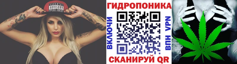 что такое наркотик  Дубовка  Бошки Шишки гибрид 